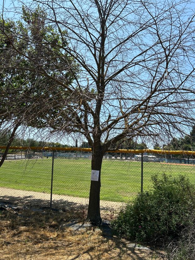  8500 La Riviera Dr. - Glenbrook Park