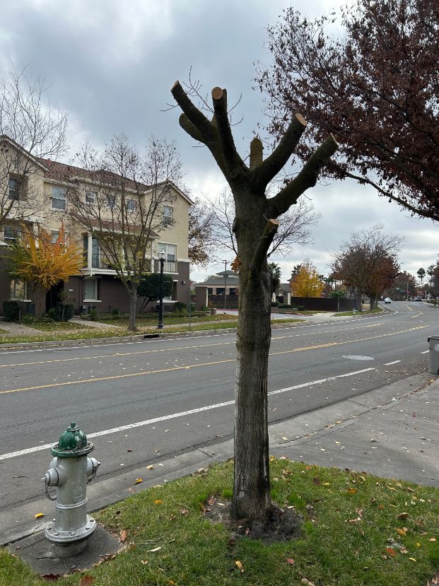 91 Regency Park Cir.