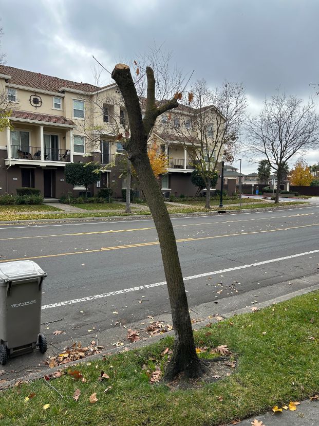 91 Regency Park Cir.