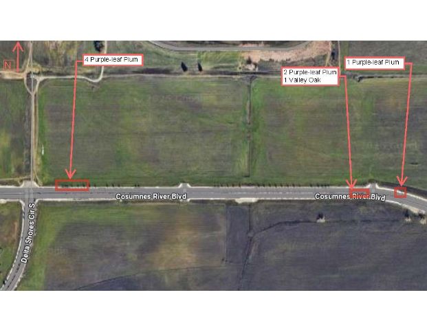  Cosumnes River Blvd and Delta Shores Cir S