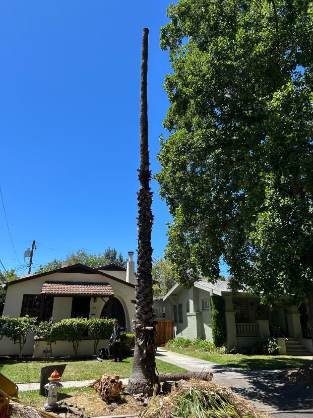 2032 4th Ave