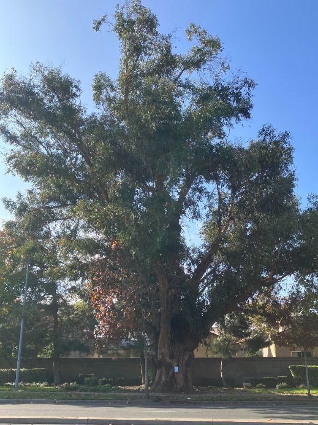  S of Brookfield Dr & Franklin Blvd