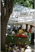 Image of people gathered outside buying food under a white tent