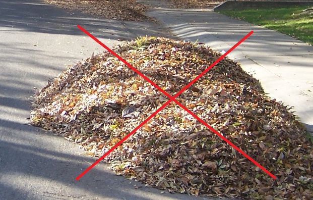 pile of leaves in the street with a red X on the pile