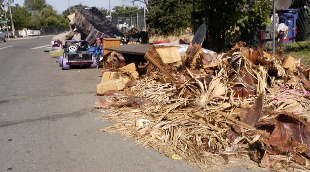 pile of dumped green waste and debris 