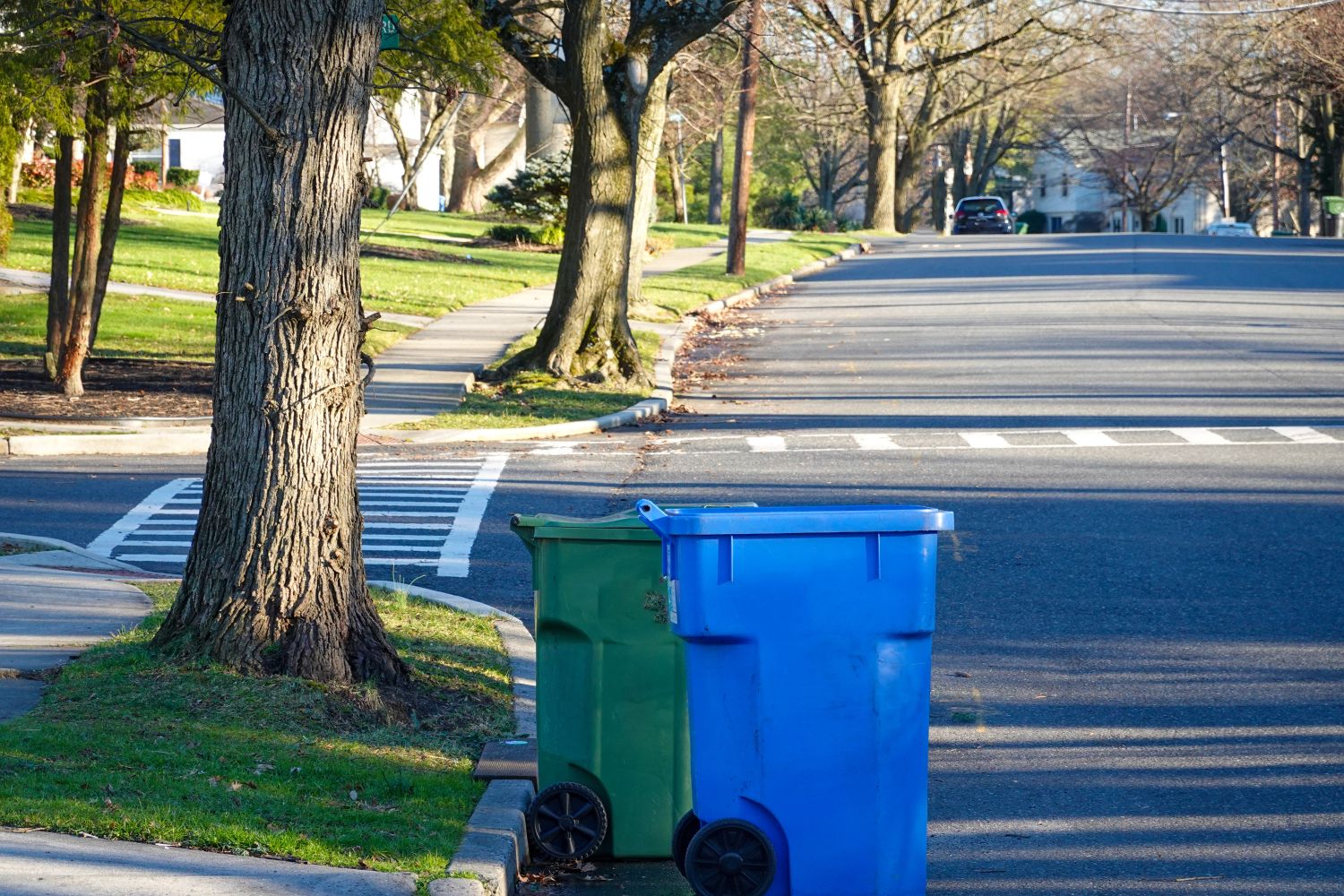 Blue and green waste containers on curb on a tree lined street