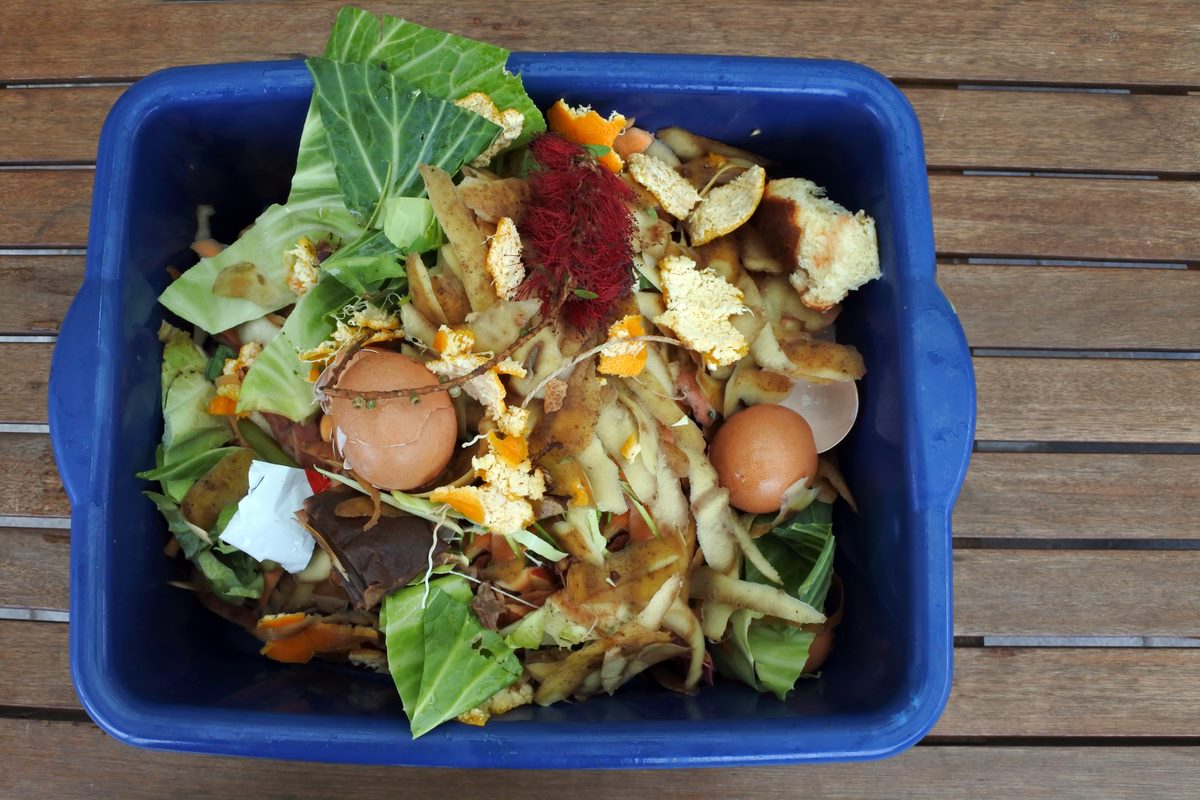 Blue bin filled with organic material