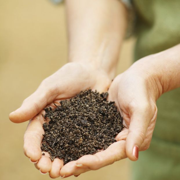 Hands holding finished compost