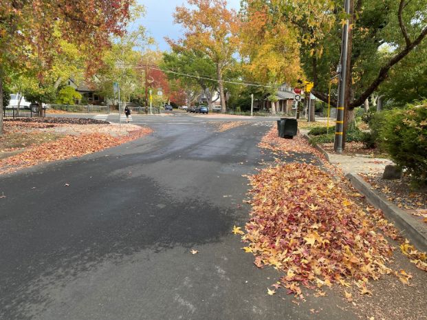 leaf pile in street with graphic of a red letter x on pile