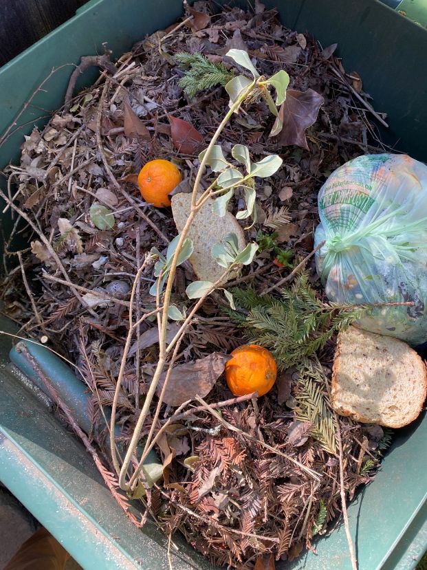 yard waste and food wast in a green orgnaics bin