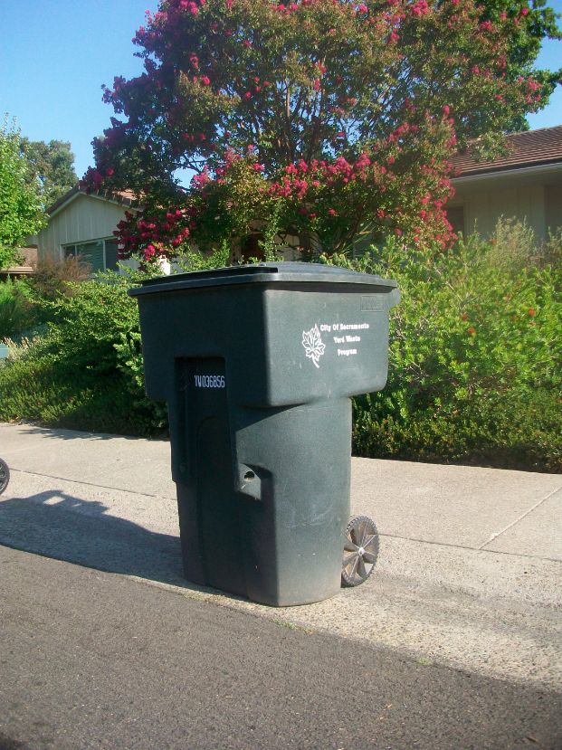 Green organics container on the curb