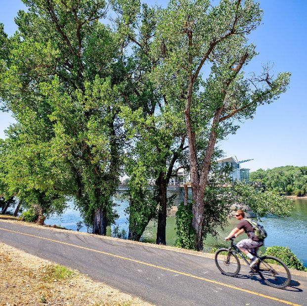 Bicyclist riding on the Sacramento River Bike Trail