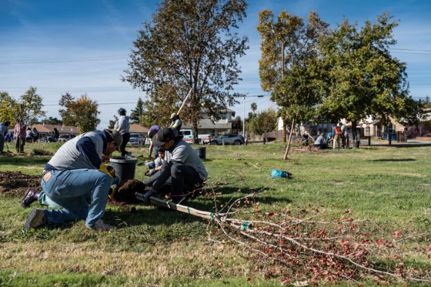 Photo of people planting trees on the Sacramento Northern Parkway