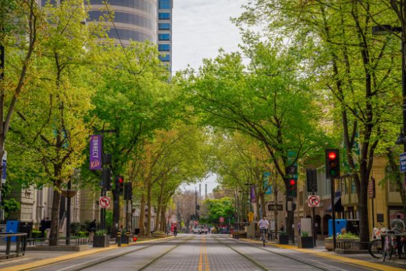 Urban Forest Plan