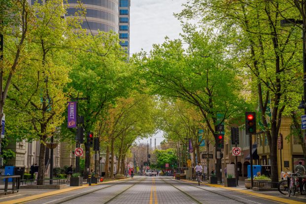 Image looking down the center of K Street with street trees on both sides