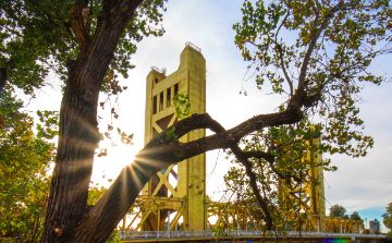 Cover of the Sacramento Urban Forest Plan (SUFP) Public Review Draft with a photo of sun shining through a tree with the Tower Bridge in the background