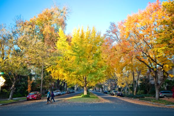 Climate Action and Sustainability