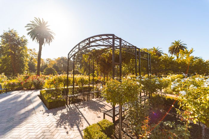 Rose garden archway