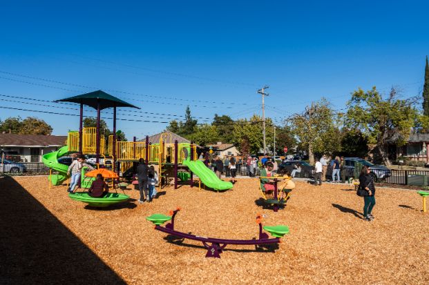 Thelma Park