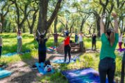 Group of people in park doing yoga